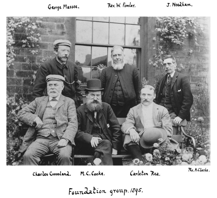 BMS History